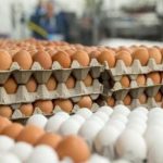 Parandalohet hyrja e vezëve të pasigurta nga Serbia