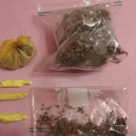 Droga mes nxënësve të shkollave të mesme, shteti pa evidencë të plotë: Shifra tronditëse në Pollog