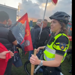 Policia e Hagës po i konfiskon shtizat e flamujve