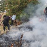 ZJARR NË FSHATIN MATÇ – QYTETARËT DHE POLICIA ARRIJNË TA SHUJNË (VIDEO)